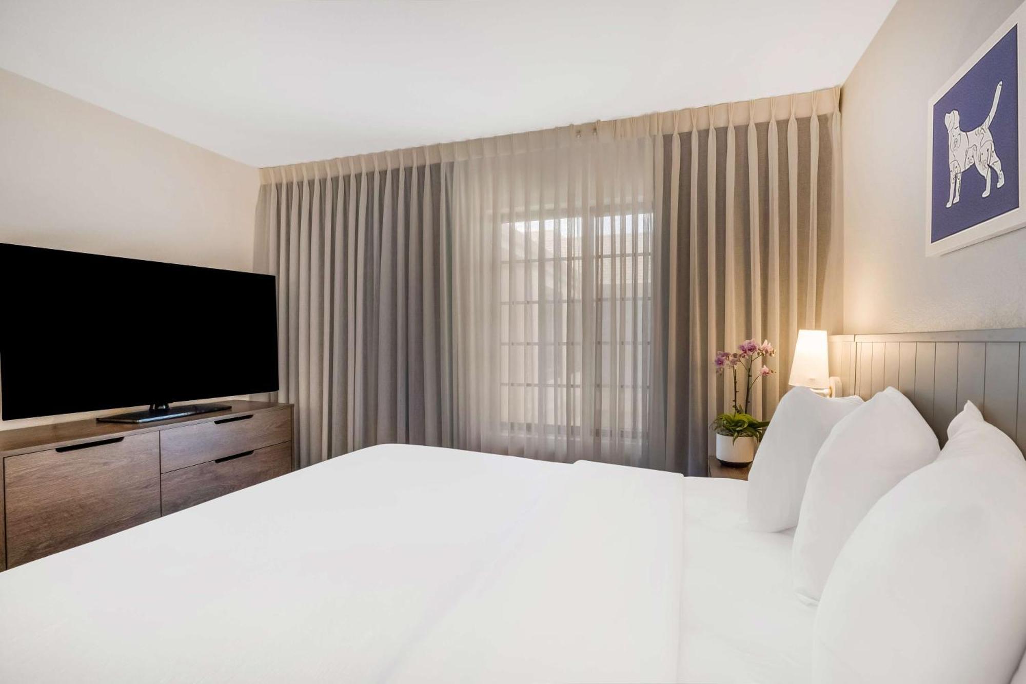 Sonesta Es Suites San Jose - Airport Екстер'єр фото